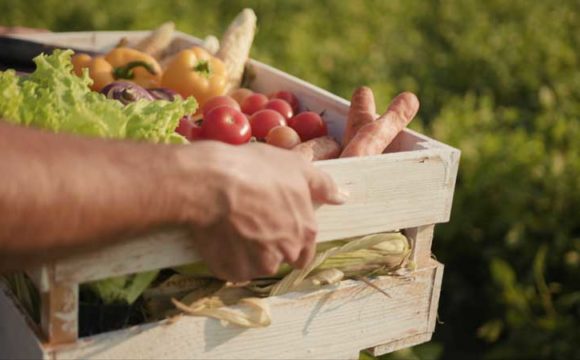 école efflorescence-restauration-les repas